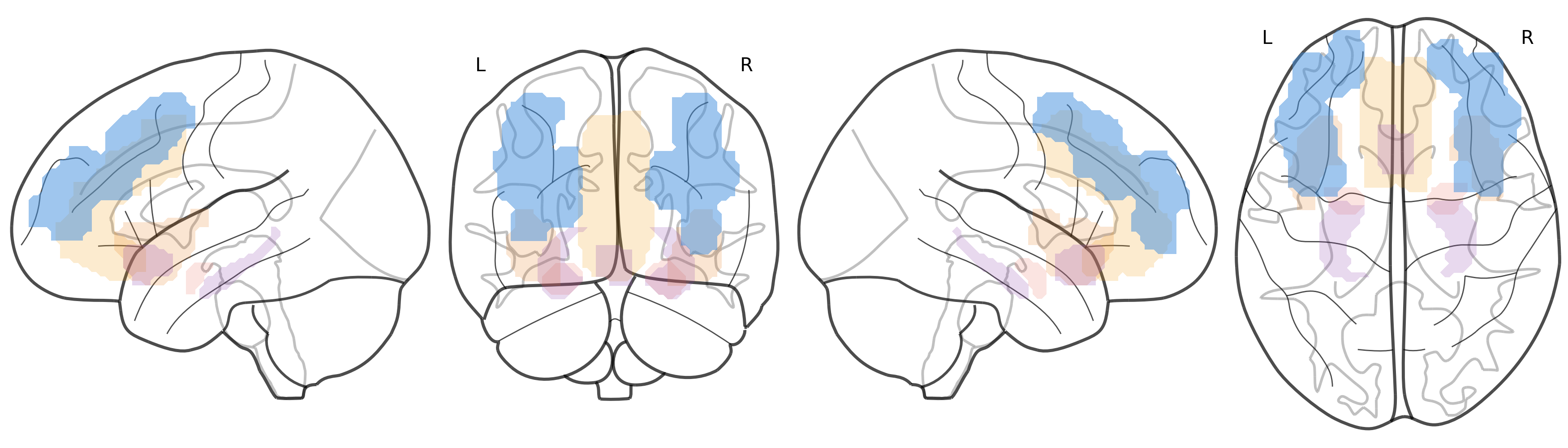 NA↑ circuit — all structures